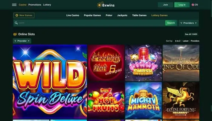 8xwins Casino Review Header
