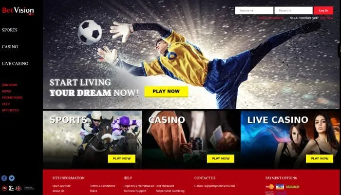BetVision Casino Review Header