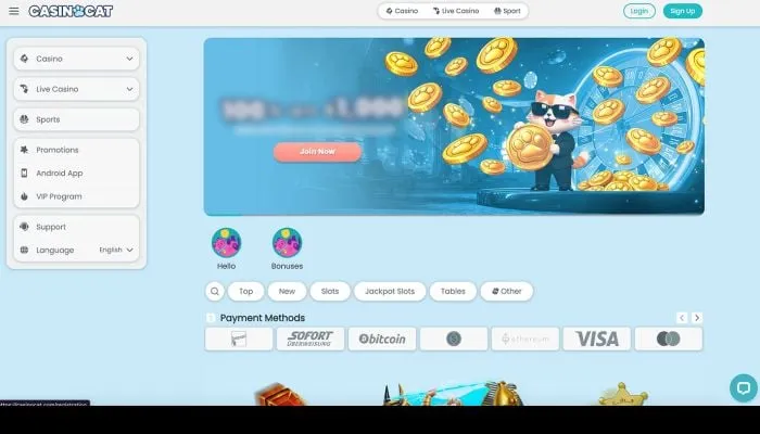 CasinoCat Review Header