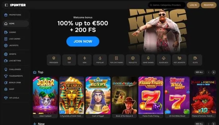 MrPunter Casino Review Header