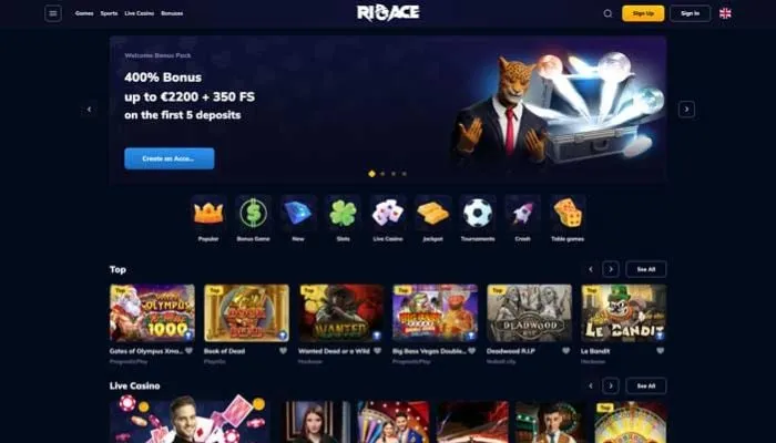 RioAce Casino Review Header