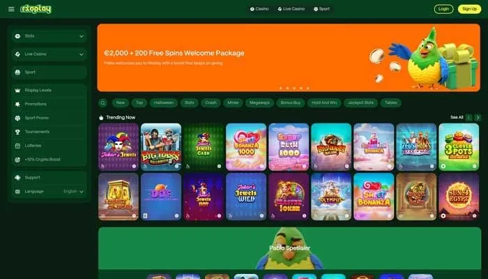 RioPlay Casino Review Header