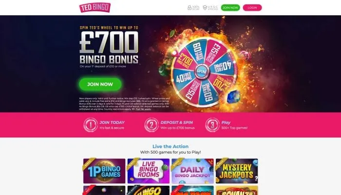 Ted Bingo Casino Review Header