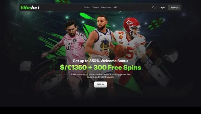 Vibebet Casino Review Header