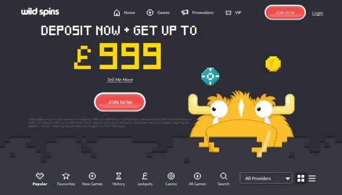 Wild Spins Casino Review Header
