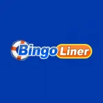 Bingo Liner Casino