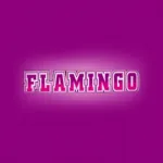 Flamingo Club Casino